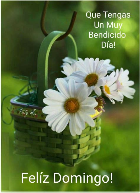 Domingo imágenes, gifs y fotos con frases. Feliz Domingo lindas imágenes - BonitasImagenes.net
