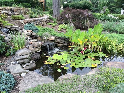 Transforming A Hillside Into Pond And Waterfall Claire Jones Landscapes