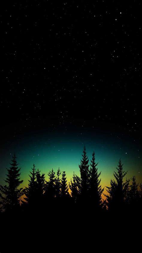 Dark Starry Night Trees Iphone Wallpapers