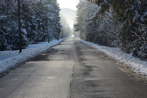 Free Images Tree Nature Forest Snow Cold Winter Frost Asphalt