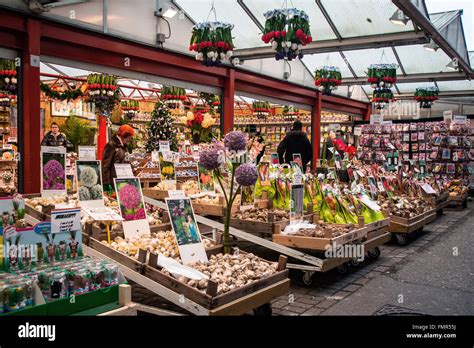 Amsterdam Flower Market Hi Res Stock Photography And Images Alamy