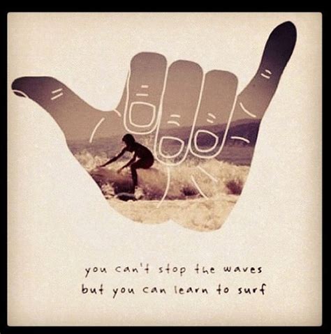 Surfing Funny Birthday Quotes Quotesgram