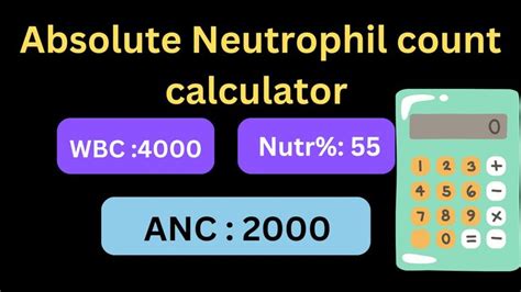 Absolute Neutrophil Count Calculator Formula In 2023 Absolute