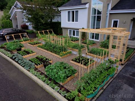 Vegetable Garden Ideas For Small Yards Jdb Home Home Vegetable