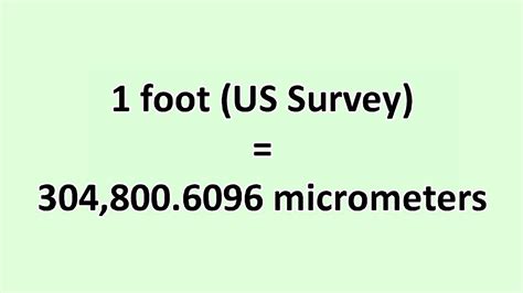 Convert Foot Us To Micrometer Excelnotes