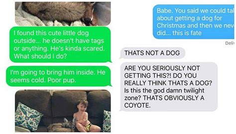 A Woman Tricked Her Husband Into Thinking She “adopted” A Coyote And Its The Best Series Of