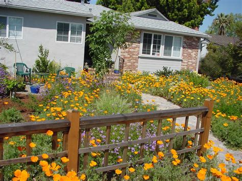 Knowing how hot (and cold) it gets around your garden can help you decide what plants are most likely to survive a drought. Pin on Front Yard Drought Tolerant Garden