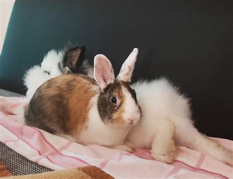 He waits until I fall asleep ・ popular.pics ・ Viewer for Reddit