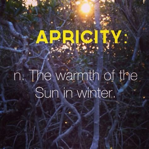Apricity Unusual Words Uncommon Words Cool Words