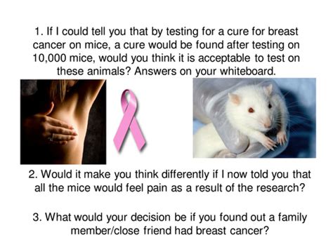 We did not find results for: Animal testing and stewardship: Christian views | Teaching ...