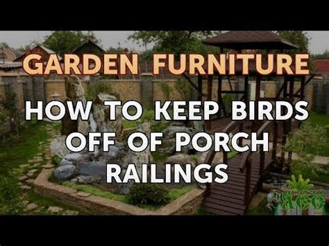 Hobbyist · quality growing supplies · home owner · professionals How to Keep Birds Off of Porch Railings - YouTube