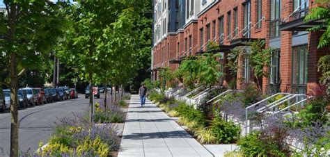 In My View，the Green Sidewalk Is A Good Urban Street Design，green Space