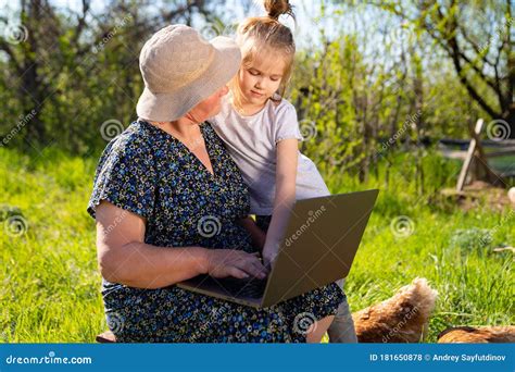 2265 Computer Training Elderly Stock Photos Free And Royalty Free