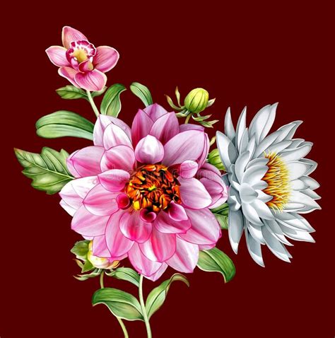 Dahlia Flower Textile Digital Printing Flower Watercolor Illustration