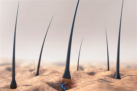 It's a lot worse on the underside i've always been too scared to bring a blade directly onto the penis (or the balls for that matter. How Scalp Massages Help with Hair Growth | BeBEAUTIFUL