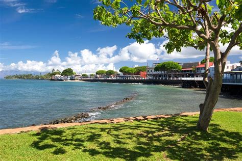 5 Activités Gratuites à Lahaina Maui Lima