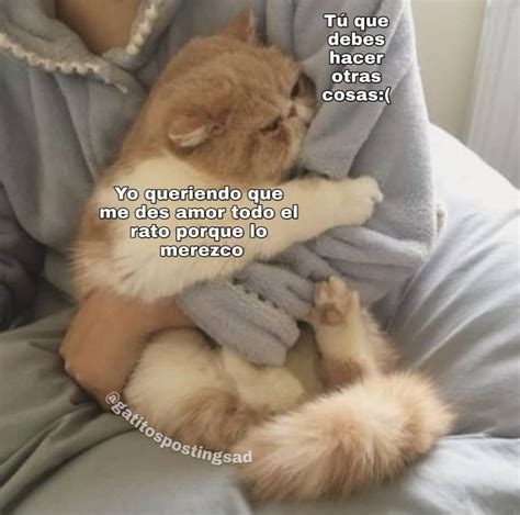 𝙋𝙤𝙣𝙩𝙚 𝙎𝙤𝙛𝙩 ꕤ𝕯𝖎𝖊𝖈𝖎𝖘𝖊𝖎𝖘ꕤ Animales Frases Meme Gato Gatitos Divertidos