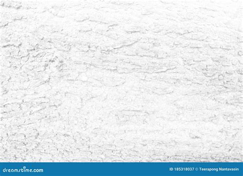 White Tree Bark Texture Background Stock Image Image Of Outdoor