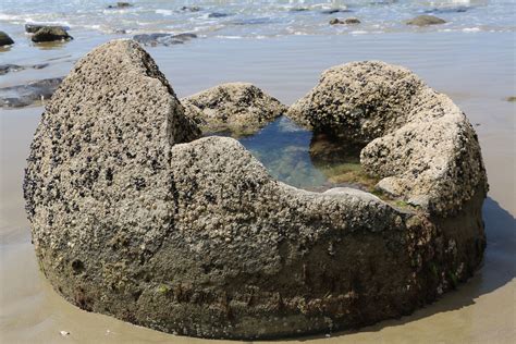 Moeraki Boulders New Zealands Famous Round Rocks By Silberhorn