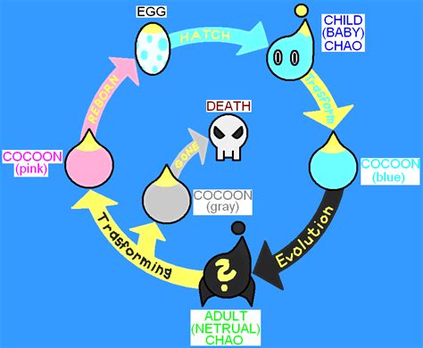 Steam Community Guide How To Make A Chaos Chao Beginners Guide