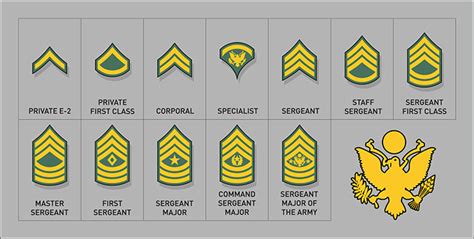 Army Enlisted Ranks In Order Reyndesigns