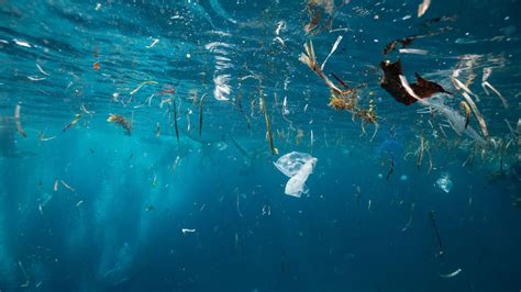 Les Fonds Marins Jonchés De 14 Millions De Tonnes De Microplastiques