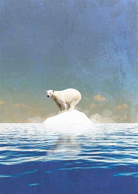 Climate Change Polar Bear Poster By Team Awesome Displate Polar
