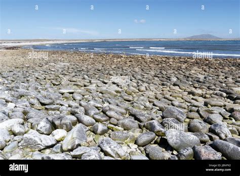 Pebble Island Falklands War Hi Res Stock Photography And Images Alamy