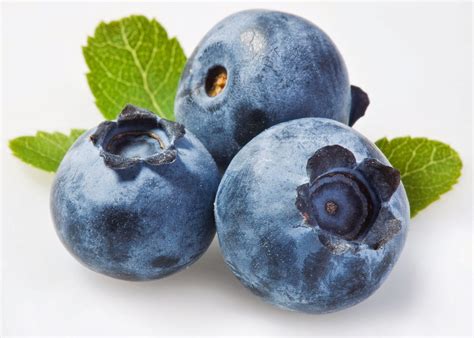 blueberry meaning in urdu language