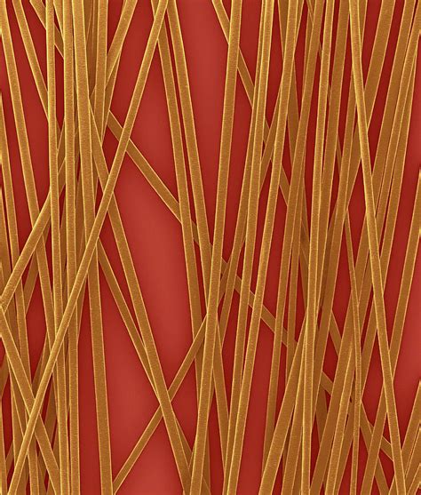 Human Hair Shafts Photograph By Dennis Kunkel Microscopyscience Photo