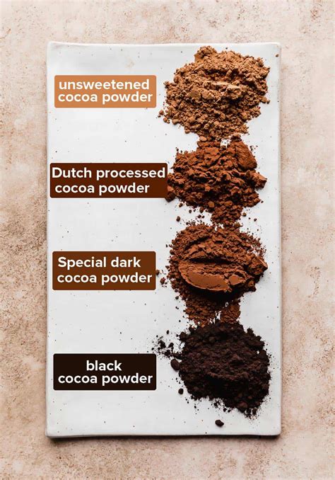 Best Cocoa Powder For Baking — Salt And Baker
