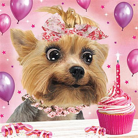 3d Holographic Birthday Card Yorkshire Terrier Dog