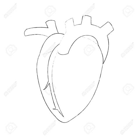 The clock drawing test (cdt) is a nonverbal screening tool in which the patient is asked to draw a clock. Human Heart Simple Drawing at GetDrawings | Free download