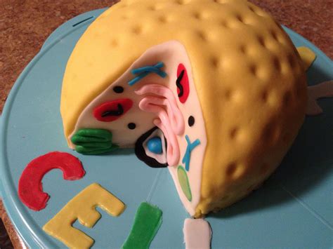 Anna grace was able to do a fun project to get extra credit in science. Animal Cell Cake | Cells project, School science projects ...
