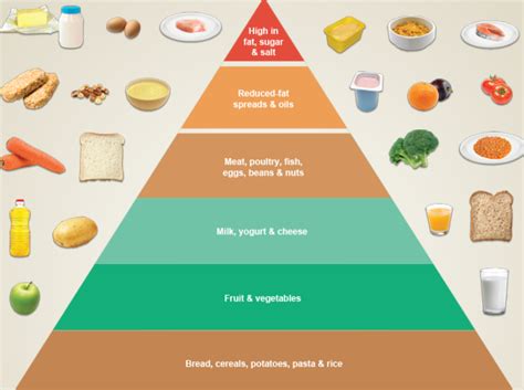 Food Pyramid Games Our English Blog