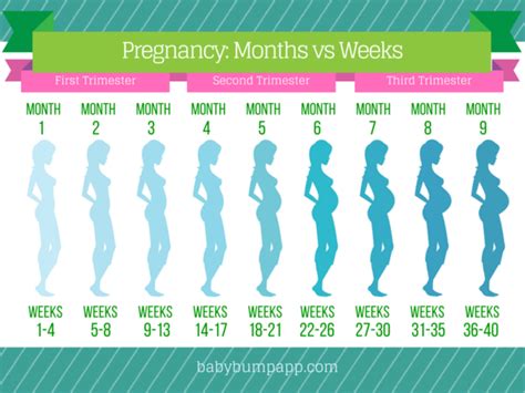 This is week one of your pregnancy, but you're not officially pregnant yet. Pin on Baby Wishes