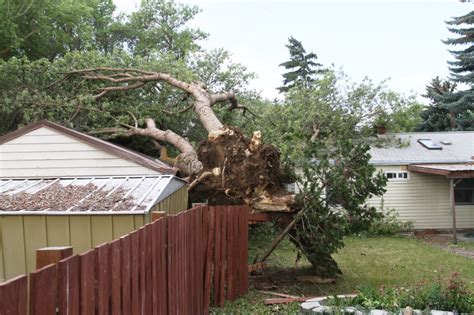 Thunderstorm Damage Photo Gallery