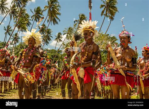 traditional milamala dance of trobriand islands during the festival of free love kwebwaga