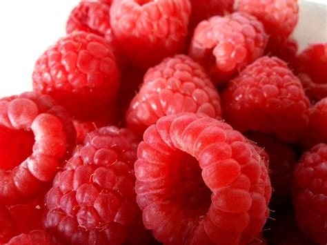 Red Raspberries Free Stock Photo Public Domain Pictures