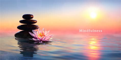 A Better State Of Mind Through Mindfulness Netrf