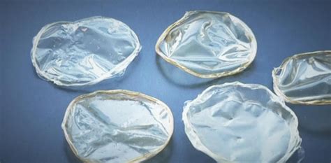 Scientists Make Plastic From Used Shrimp Shells Ybmw