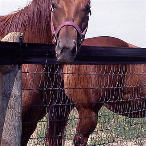 Red Brand Extended Life V Mesh Fence Ramm Horse Fencing And Stalls