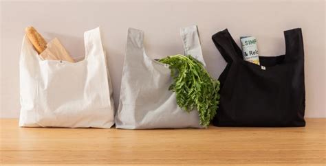 The 9 Best Zero Waste Bags To Use In 2021