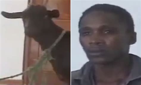 Katana Kitsao Gona Kenya Goat Sex Attacker Faces Victim In Court