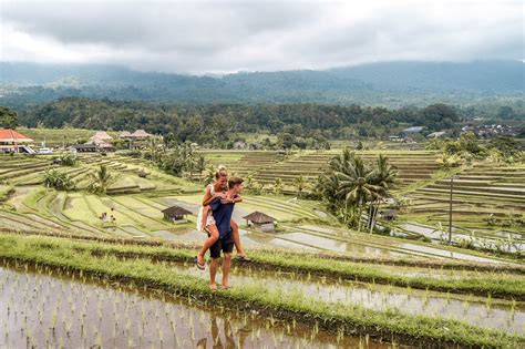 Jatiluwih Rice Terraces In Bali Guide Wanderers And Warriors