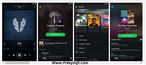 Spotify Premium Apk Hack V 8.0 Download Full Version