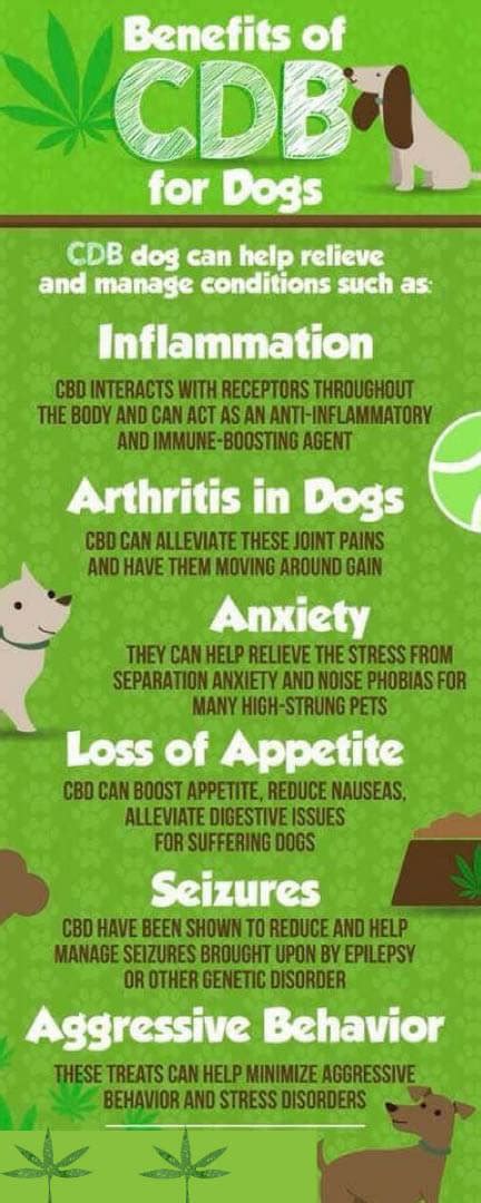 Cbd Products For Dogs Reviews √ Cbd Dozing Calculator Instructions