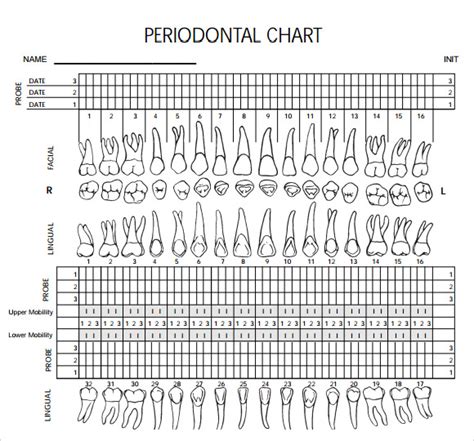 Printable Periodontal Chart