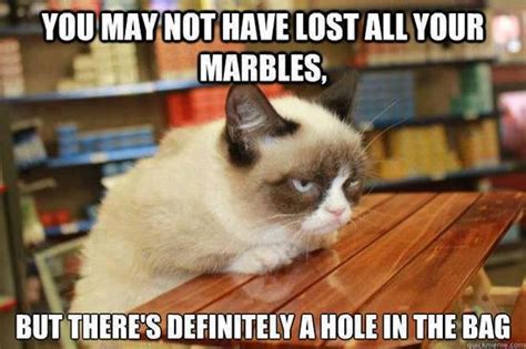 10 New Grumpy Cat Memes