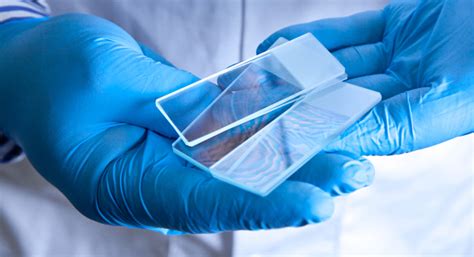 Explore associate, bachelor's, master's and doctorate. Top States To Study Forensic Psychology ...